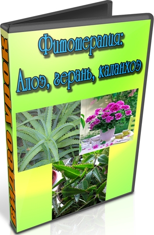 �����������: ����, ������, �������� (2012) DVDRip