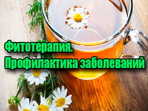 �����������. ������������ ����������� (2012) DVDRip