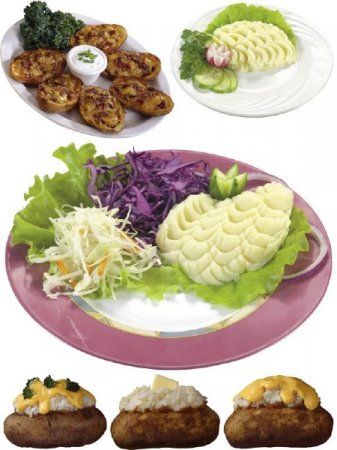 ������������ ���� � ��������� ���������