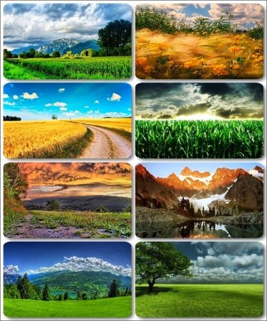 ���� ������������ ������� - Full HD ��������