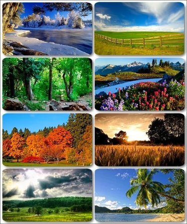 ���� � ������������ ��������� - 595 HQ ���� �������