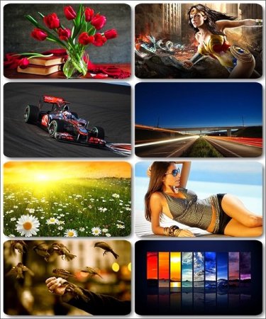 ���� ��� �������� ����� - ������� ������ �������� (2560x1600)