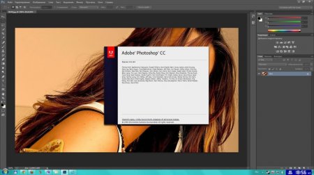 Adobe Photoshop CC 14.0 Final Portable by Valx (2013/RUS) Adobe Photoshop CC 14.0 Final Portable by Valx (2013/RUS)