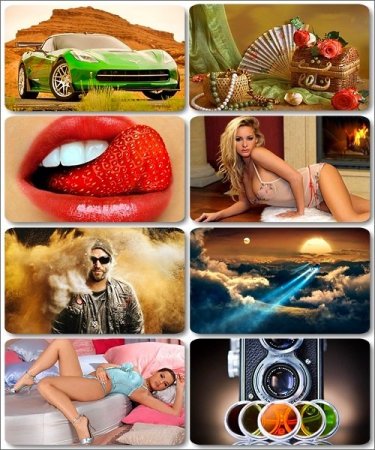 ���� ��� �������� ����� - 275 �������� HD ��������