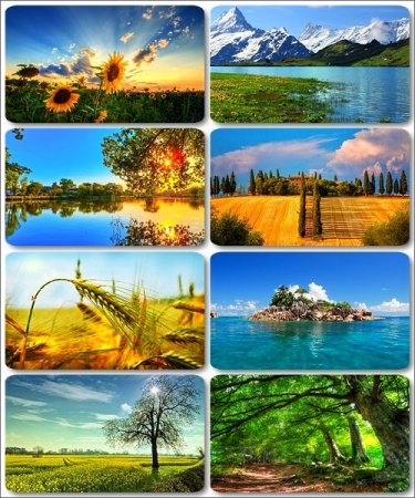 ������� � ������������ ������ ������� - 185 HQ �����