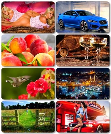 ������������ HQ ���� - 250 �������� ������ ������