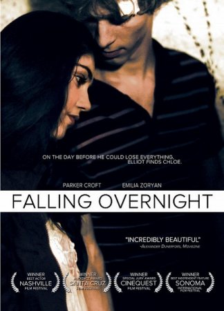 �������� ������� / Falling Overnight (2011/DVDRip/1400mb)