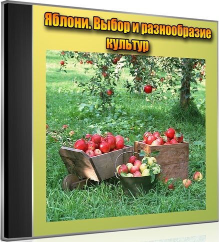 ������. ����� � ������������ ������� (2013) DVDRip