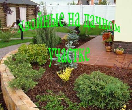 ������� �� ������ ������� (2013) DVDRip