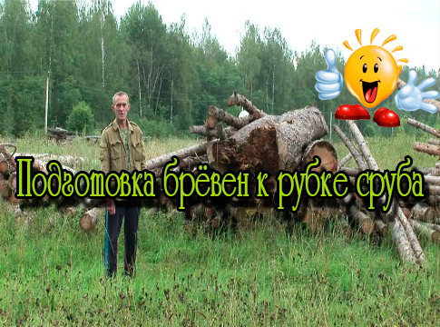 ���������� ����� � ����� ����� (2013) DVDRip