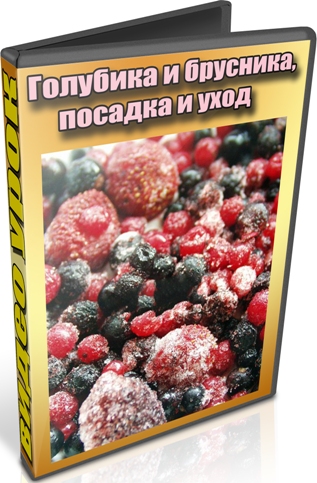 �������� � ��������, ������� � ���� (2013) DVDRip