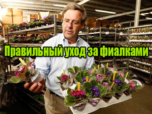 ���������� ���� �� �������� (2013) DVDRip