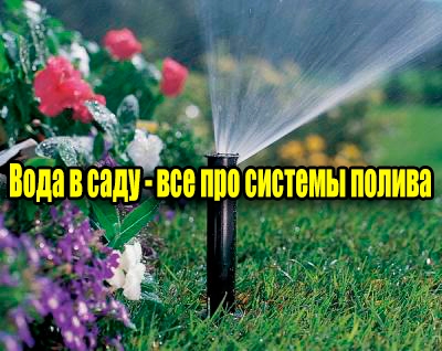 ���� � ���� - ��� ��� ������� ������ (2013) DVDRip