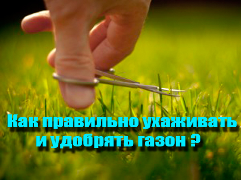 ��� ��������� ��������� � �������� ����� (2013) DVDRip