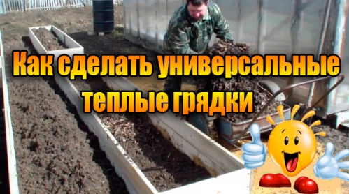 ��� ������� ������������� ������ ������ (2013) DVDRip