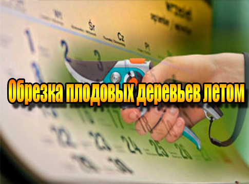 ������� �������� �������� ����� (2013) DVDRip