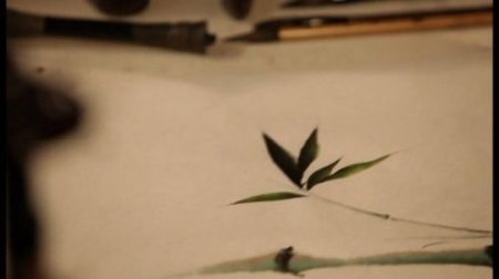 ��������� : ����� ��������� �������� � ����������� (2013) DVD-5 + DVDRip