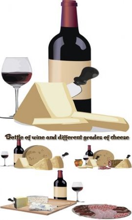 Bottle of wine and different grades of cheese - Stock