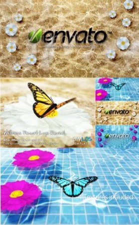 Footages - Videohive Wellness Resort Logo Reveal 3770029 HD