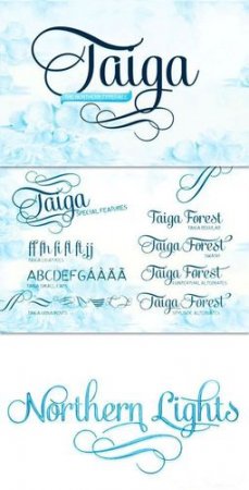 Fonts - Exclusive Taiga Fonts