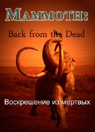 ������: ����������� �� ������� / Mammoth: Back from the Dead (2013) IPTVRip