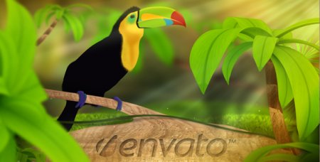 Footage - Videohive Wild Nature Logo Reveal 237632 HD
