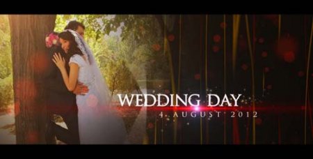 Footage - Wedding Teaser - After Effects Project (Videohive)