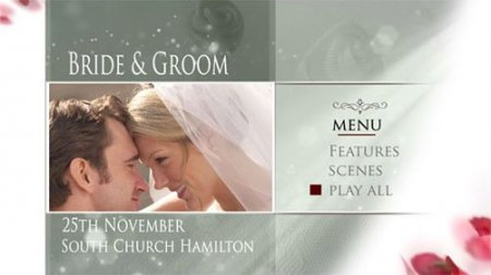 Footage - Wedding Shimmer 177 (Digital Video Team)