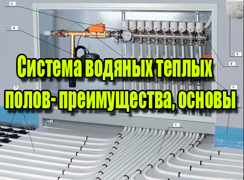 ������� ������� ������ �����-������������, ������ (2013) DVDRip