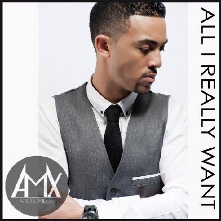 Andre Mieux - All I Really Want    (2013) 