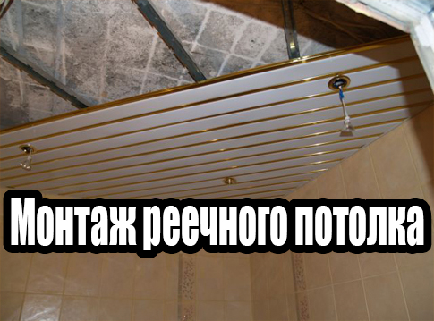 ������ �������� ������� (2013) DVDRip