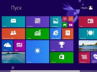 Windows 8.1 Enterprise Optimized Yagd v.8.0 x64 13.08 (2013/RUS)