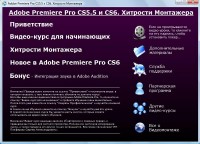 Adobe Premiere Pro CS5.5 � CS6. �������� ���������. ��������� (2013)