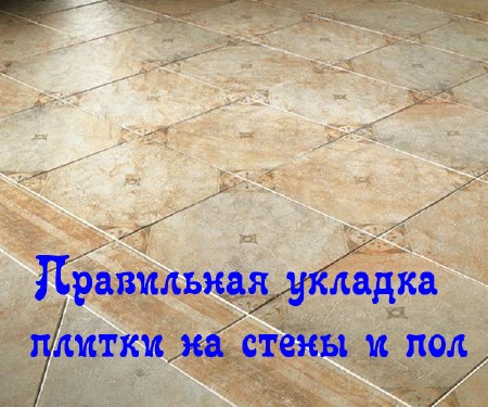 ���������� ������� ������ �� ����� � ��� (2013) DVDRip