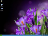 Windows Xp professonal SP3 City v12 (2013/RUS)