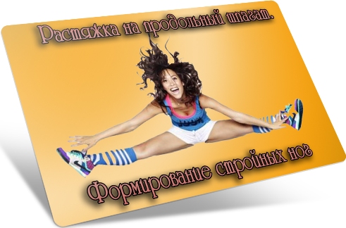 �������� �� ���������� ������.������������ �������� ��� (2013) DVDRip