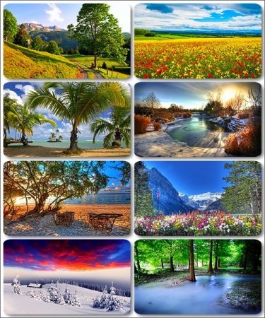 ������� � ������������� ��������� - 185 HD ���� �����