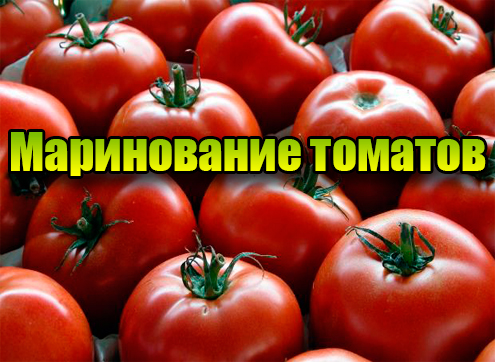 ����������� ������� (2013) DVDRip