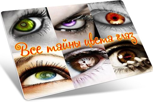 ��� ����� ����� ���� (2013) DVDRip