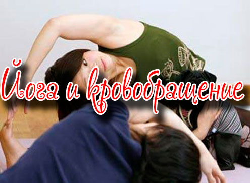 ���� � ������������� (2013) DVDRip