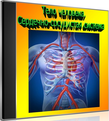 ���� ��������. ��������-���������� ������� (2013) DVDRip