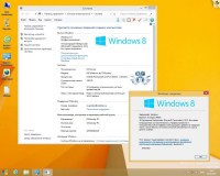 Microsoft Windows 8.1 Professional x86/x64 VL by OVGorskiy 09.2013 v.1 (2013/RUS)