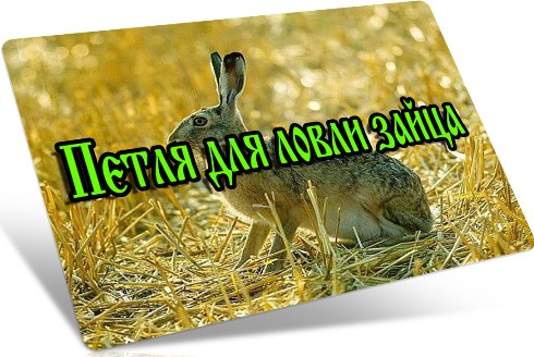 ����� ��� ����� ����� (2013) DVDRip