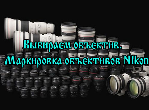 �������� ��������. ���������� ���������� Nikon (2013) DVDRip