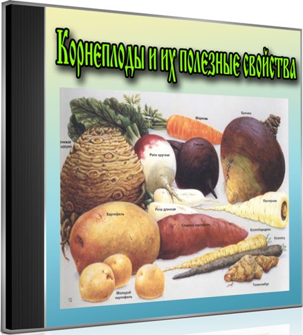 ���������� � �� �������� �������� (2013) DVDRip