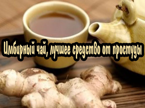 �������� ���, ������ �������� �� �������� (2013) DVDRip