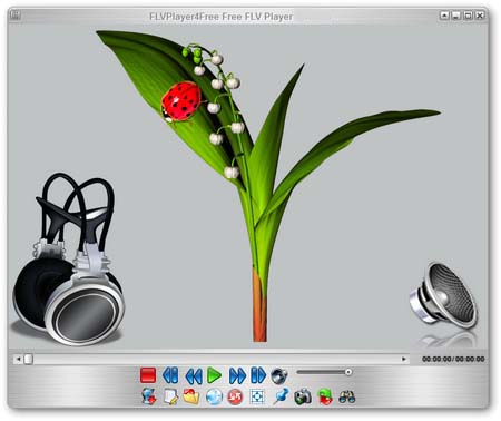 FLVPlayer4Free 5.3.0.0 ML/Rus Portable