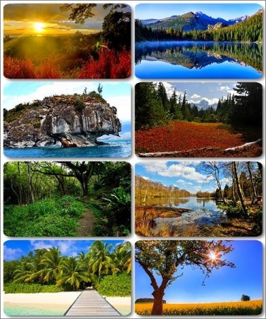 ���������� ������ ������� - 185 HQ ���� �����