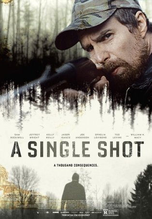 ������������ ������� / A Single Shot (2013) WEB-DLRip