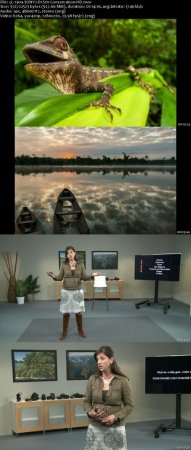 creativeLIVE - Nature and Conservation Photography